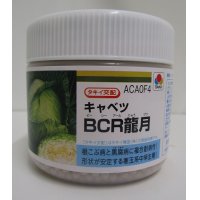 [キャベツ]　送料無料！　ＢＣＲ龍月　ペレット5000粒　　タキイ種苗（株）