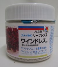 [レタス]　送料無料！　リーフレタス　ワインドレス　ペレット5千粒　タキイ種苗（株）