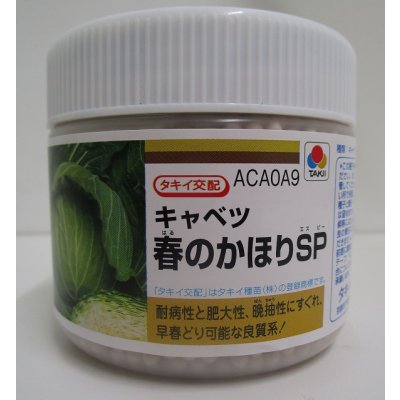 画像1: 送料無料　[キャベツ]　送料無料　春のかほりSP　ペレット5000粒　タキイ種苗(株)
