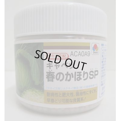 画像1: [キャベツ]　送料無料　春のかほりSP  ペレット5000粒　　タキイ種苗（株）