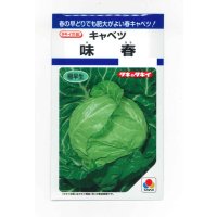 送料無料　キャベツ　味春　1.2ml(約160粒)　タキイ種苗(株)　DF
