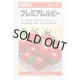 送料無料　[トマト/ミニトマト]　プレミアムルビー　1000粒　カネコ種苗（株）