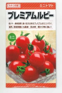 [トマト/ミニトマト]　送料無料！　プレミアムルビー　1000粒　　カネコ交配　