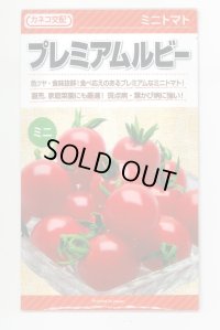送料無料　[トマト/ミニトマト]　プレミアムルビー　1000粒　カネコ種苗（株）