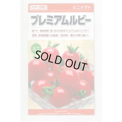 画像1: 送料無料　[トマト/ミニトマト]　プレミアムルビー　1000粒　カネコ種苗（株）