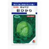 野菜種　キャベツ　彩ひかり　1.2ml(約140粒)　タキイ種苗(株)　DF