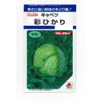 野菜種　キャベツ　彩ひかり　1.2ml(約140粒)　タキイ種苗(株)　DF