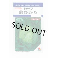 野菜種　キャベツ　彩ひかり　1.2ml（約140粒）　タキイ種苗（株）　DF