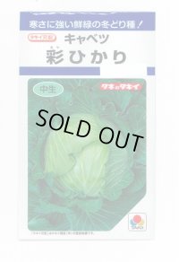 野菜種　キャベツ　彩ひかり　1.2ml（約140粒）　タキイ種苗（株）　DF