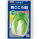 送料無料　[白菜]　黄ごころ80　20ml　タキイ種苗(株)