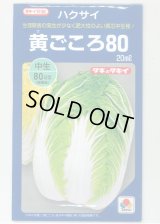 送料無料　[白菜]　黄ごころ80　20ml　タキイ種苗(株)