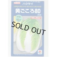 [白菜]　黄ごころ80　20ｍｌ　タキイ種苗（株）　