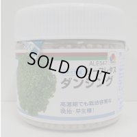[レタス]　ダンシング　ペレット種子　5000粒　タキイ種苗(株)