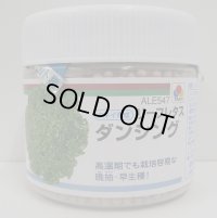 [レタス]　ダンシング　ペレット種子　5000粒　タキイ種苗(株)