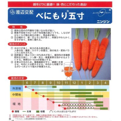 画像3: 送料無料　[人参]　べにもり五寸　20ml　渡辺農事（株）
