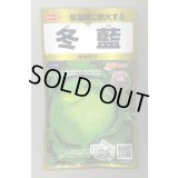 送料無料　[キャベツ]　冬藍　ペレット300粒　(株)サカタのタネ　実咲PRO（101533）