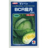 [キャベツ]　ＢＣＲ龍月　2000粒　　タキイ種苗（株）