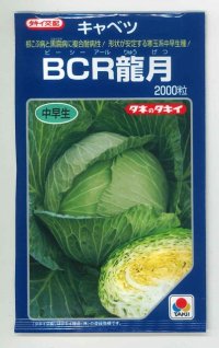 [キャベツ]　ＢＣＲ龍月　2000粒　　タキイ種苗（株）