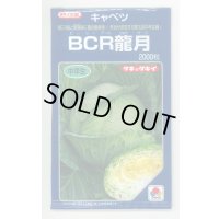 送料無料　[キャベツ]　ＢＣＲ龍月　2000粒　タキイ種苗(株)