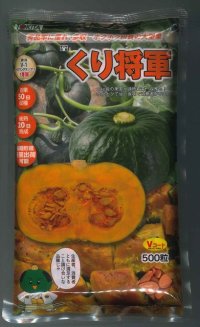 [かぼちゃ]　送料無料！　くり将軍　500粒　トキタ種苗（株）