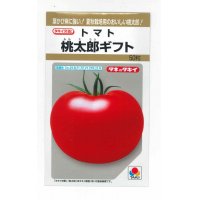 [トマト/桃太郎系]　桃太郎ギフト　50粒 貴種（コートしてません）　タキイ種苗（株）