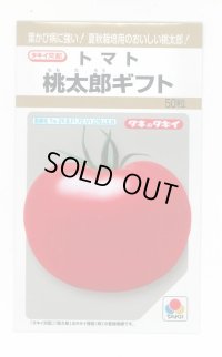 送料無料　[トマト/桃太郎系]　桃太郎ギフト　50粒　貴種(コートしてません)　タキイ種苗(株)