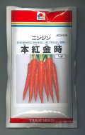 送料無料　[人参]　本紅金時　1dl　タキイ種苗