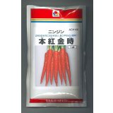 送料無料　[人参]　本紅金時　1dl　タキイ種苗