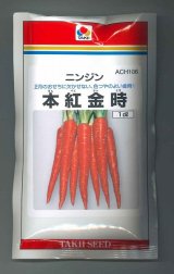 送料無料　[人参]　本紅金時　1dl　タキイ種苗