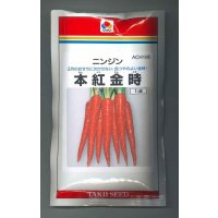 送料無料　[人参]　本紅金時　1dl　タキイ種苗