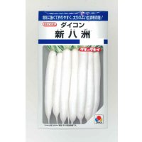 送料無料　大根　新八洲　18ml　タキイ種苗(株)　DF