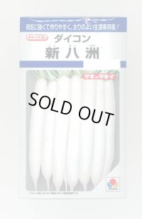 送料無料　大根　新八洲　18ml　タキイ種苗(株)　DF