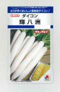 送料無料　大根種　輝八州　14ml　タキイ種苗(株)　DF