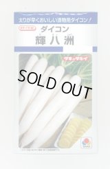 送料無料　大根種　輝八州　14ml　タキイ種苗(株)　DF