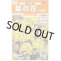 送料無料　花の種　菜の花　寒咲系混合　約120粒　(株)サカタのタネ　実咲200（026345）