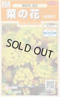 送料無料　花の種　菜の花　寒咲系混合　約120粒　(株)サカタのタネ　実咲200（026345）