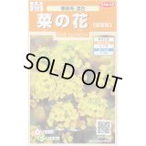 送料無料　花の種　菜の花　寒咲系混合　約120粒　(株)サカタのタネ　実咲200（026345）