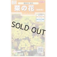 花の種　菜の花　寒咲系混合　約118粒 　サカタのタネ（株）実咲200