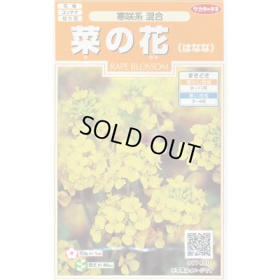 画像1: 送料無料　花の種　菜の花　寒咲系混合　約120粒　(株)サカタのタネ　実咲200（026345）