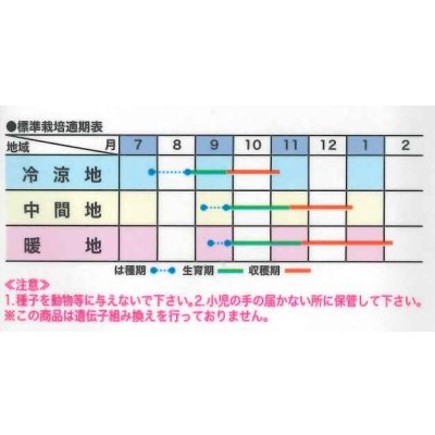 画像2: [大根] 紅しぐれ 5ml(およそ155粒) (株)トーホク