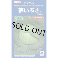 キャベツ　夢いぶき　2000粒　タキイ種苗（株）