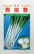 送料無料　[ねぎ]　西田葱　20ml　カネコ種苗