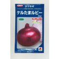 送料無料　[たまねぎ]　ケルたまルビー　20ml　タキイ種苗(株)