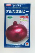 送料無料　[たまねぎ]　ケルたまルビー　20ml　タキイ種苗(株)