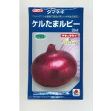 送料無料　[たまねぎ]　ケルたまルビー　20ml　タキイ種苗(株)