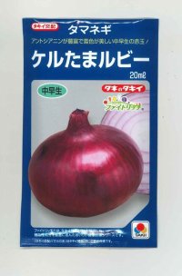 送料無料　[たまねぎ]　ケルたまルビー　20ml　タキイ種苗(株)