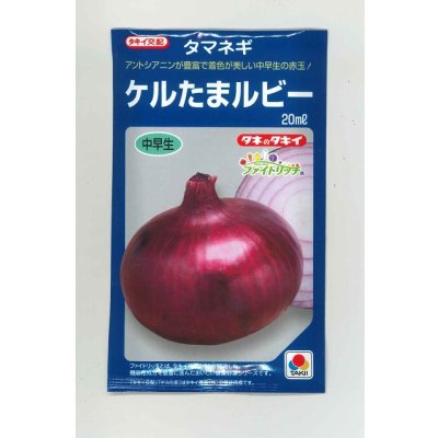 画像1: 送料無料　[たまねぎ]　ケルたまルビー　20ml　タキイ種苗(株)
