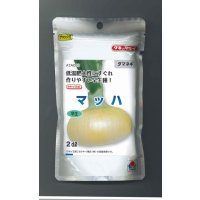 送料無料　[たまねぎ]　マッハ　2dl　タキイ種苗(株)