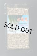 送料無料[ねぎ]　元蔵　コート5千粒　武蔵野種苗園