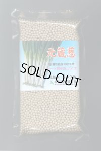 送料無料[ねぎ]　元蔵　コート5千粒　武蔵野種苗園